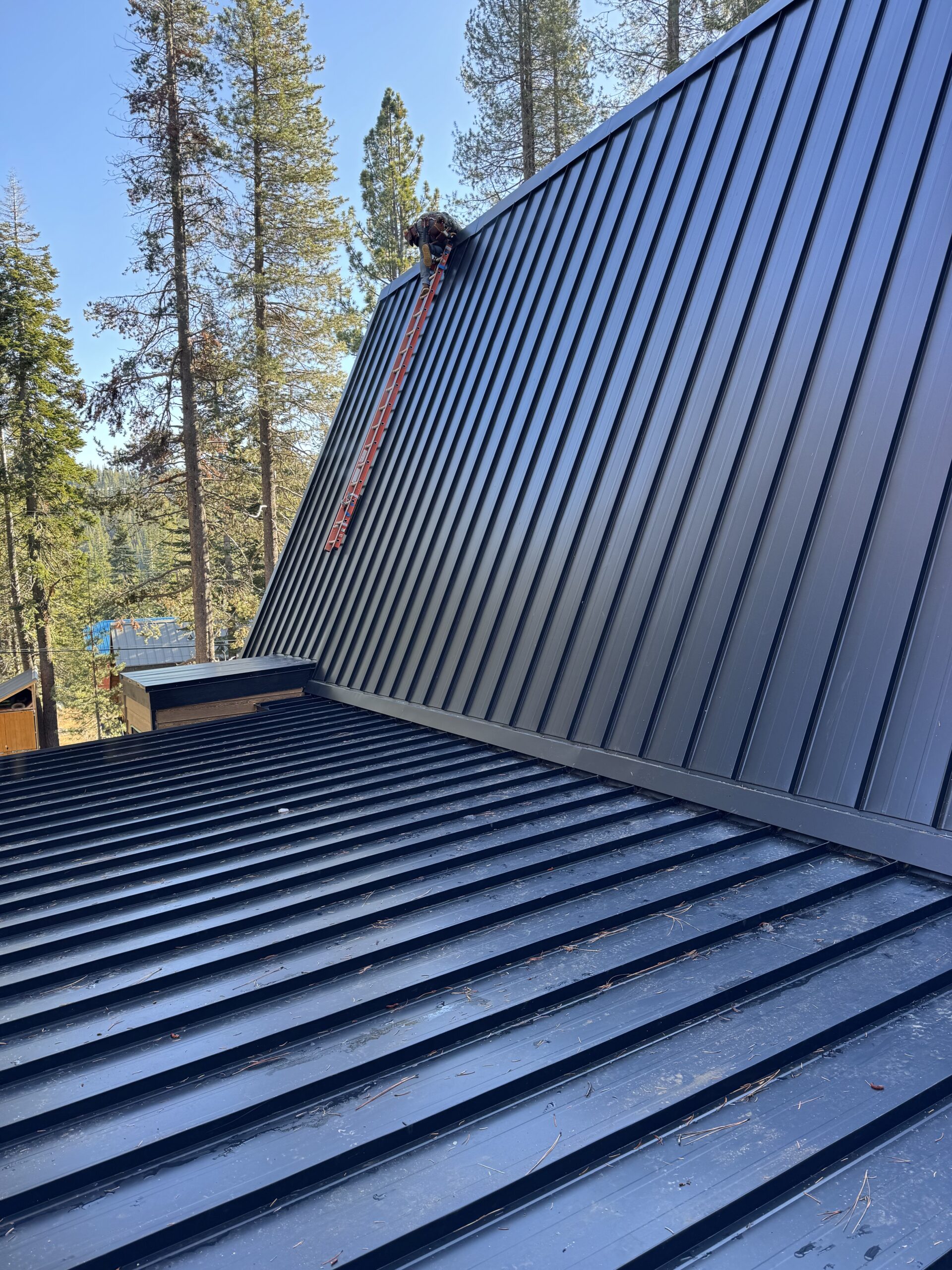 Photo Nov 08 2023, 1 42 25 PM